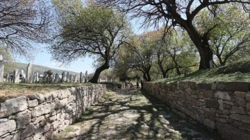 Foça'daki 'antik yol' ziyarete açılacak