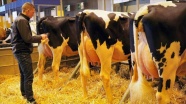 Fransa’nın en büyük fuarlarından 'Tarım ve Hayvancılık Fuarı' iptal edildi