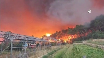 Fransa'nın g&uuml;neydoğusundaki Var vilayetinde d&uuml;n başlayan yangında binlerce hektar alan yandı