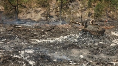 Fransa'nın Landes vilayetindeki orman yangınında 1100 hektarlık alan k&uuml;le d&ouml;nd&uuml;