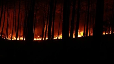 Fransa'nın Landes vilayetindeki orman yangınında 1580 hektarlık alan k&uuml;le d&ouml;nd&uuml;