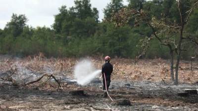 Fransa'nın Lozere vilayetinde ormanlık alanda &ccedil;ıkan yangında 250 hektarlık alan k&uuml;l oldu