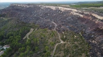 Fransa'da belediye başkanı, orman yangınının yayılmasından halkı sorumlu tuttu