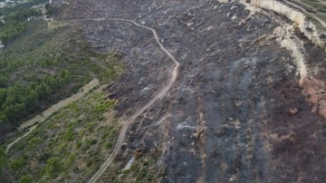 Fransa'da çıkan yangında yaklaşık 500 hektar alan kül oldu