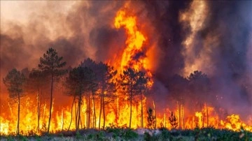 Fransa'nın Gard bölgesindeki yangında 370 hektar alan zarar gördü