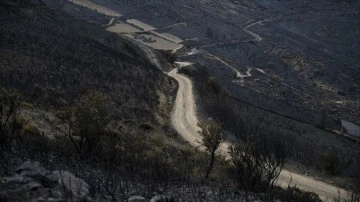 Fransa'nın Haute-Alpes bölgesinde süren yangınlarda 35 hektar alan zarar gördü