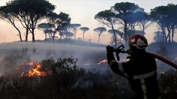 Fransa'nın Pireneler bölgesinde çıkan yangında 1000 hektardan fazla alan zarar gördü