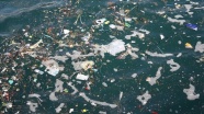 G20'de lider eşlerinin gündemi denizler ve okyanusların temizliği