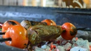 Gastronomi kenti Şanlıurfa'nın yeni lezzeti: Göbeklitepe kebabı