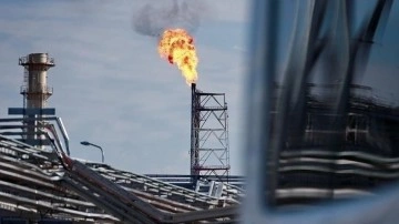Gaz İhraç Eden Ülkeler Forumu: Doğal gaz piyasası köklü değişikliklerden geçiyor