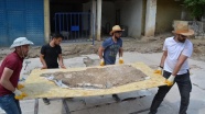 Gaziantep&#039;te evin bahçesinde ortaya çıkan tarihi mozaikler müzeye taşınıyor