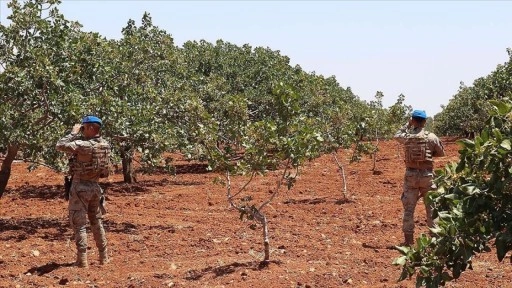 Gaziantep'te jandarma "Antep fıstığı" nöbetinde