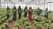 Gaziantep'te tarım eğitimi alan 7 kadın kurdukları kooperatifle ihracata başladı