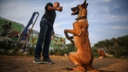 Gazze'de ablukaya rağmen hayalindeki köpek eğitim okulunu açtı