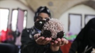 Gazze&#039;de kadınların Kurban Bayramı öncesinde el işi oyuncak mesaisi