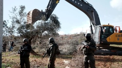 Gazze'deki Tarım Bakanlığı, İsrail saldırılarında tarım ve hayvancılık sekt&ouml;r&uuml;ndeki yıkımın boy