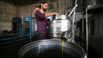 Gazze’deki zeytinyağı tesisi geleneksel yöntemlerle üretimi sürdürüyor