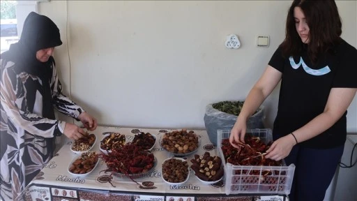 Iğdır'da kadın çiftçiler 'kurutma makinesi' desteğiyle kazançlarını katlıyor