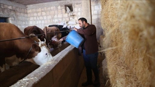 Genç veteriner "Uzman Eller Projesi" ile büyükbaş işletmesini büyüttü