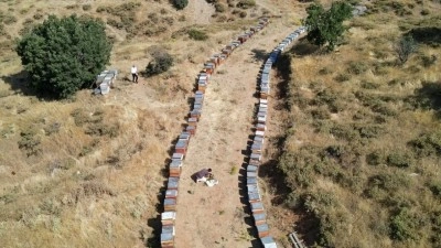 Geven balında hasat mesaisi başladı
