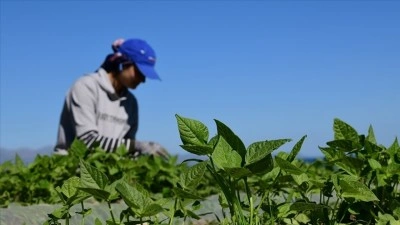 Gıda ve &ccedil;evre konulu uluslararası projelere destek sağlanacak