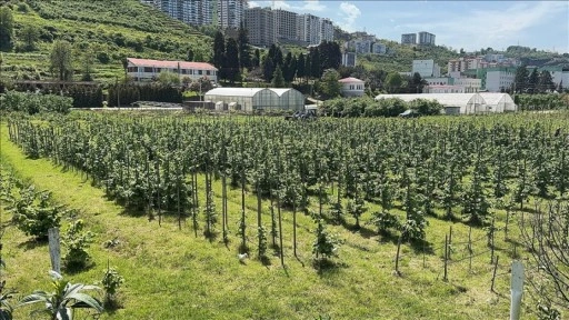 Giresun Üniversitesinden FAE'nin projelerine istatistik bilimi ve yapay zeka desteği sağlanacak