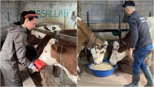 Giresunlu genç çift devlet desteğiyle mandıra kurdu