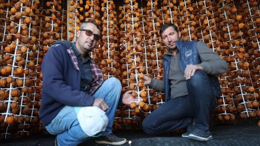 Girişimci iki komşunun kuruttuğu cennet hurması yurt içi ve dışında alıcı buluyor