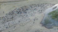 Göçerlerin çileli yolculuğu 'drone'la görüntülendi