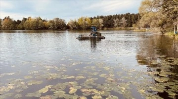 Gölcük Tabiat Parkı'ndaki göl, ot ve yosunlardan temizleniyor