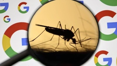 Google, ABD'de "hastalıkları engellemek i&ccedil;in" 32 milyon "kısır sivrisineği" doğaya salmayı planlıyor