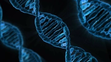 Google'ın yapay zeka şirketi DeepMind, DNA'da hastalığa yol açan genlerin bulunmasını hızlandırıyor