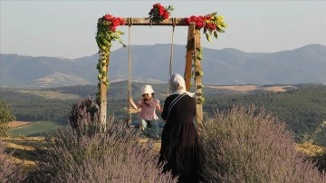 Görsel cazibesi fotoğraf tutkunlarını lavanta tarlalarına çekiyor