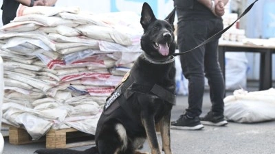 G&uuml;mr&uuml;kler Muhafaza ekipleri, 2 ayrı operasyonda 420 kilogram uyuşturucu ele ge&ccedil;irdi