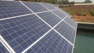 Güneş mini YEKA yarışmalarında 4 günde 260 megavat kapasite tahsis edildi