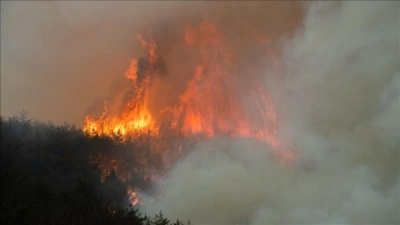 G&uuml;ney Kore'nin Miryang kentindeki orman yangınını s&ouml;nd&uuml;rme &ccedil;alışmaları 2 g&uuml;nd&uuml;r s&uuml;r&uuml;yor