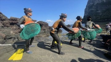 Güney Kore'nin 80 yaş üstü "deniz kadınları" geçimlerini derin sulara dalarak sağlıyo