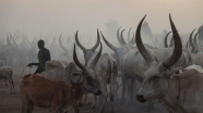 Güney Sudan'da sığır hırsızları kabileye saldırdı: 40 ölü
