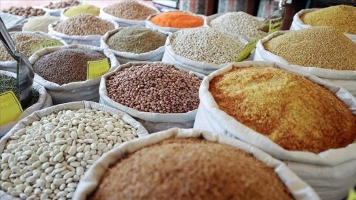 Güneydoğu Anadolu'nun hububat ihracatı 10 ayda 2,9 milyar dolara ulaştı