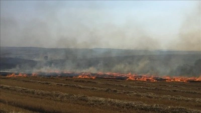 G&uuml;neydoğu'da anız yangınlarıyla m&uuml;cadele sonu&ccedil; veriyor
