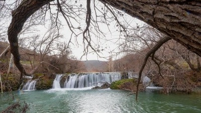 G&uuml;neydoğu'da kuraklıktan etkilenen şelaleler ve &ccedil;ağlayanlar kar sularıyla canlandı