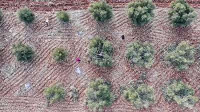 G&uuml;neydoğu'daki 9 ilin &uuml;retim &ccedil;eşitliliğini artıracak yatırımlar teşviklerle ivme kazanacak