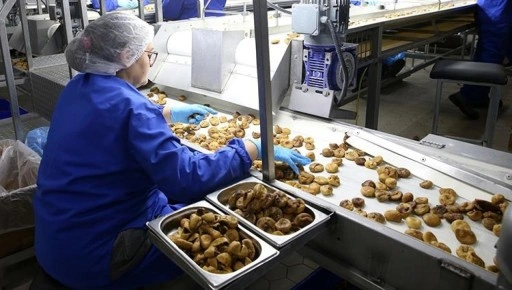 Güneydoğu'nun kuru meyve ihracatı yılın ilk yarısında yüzde 15,6 arttı