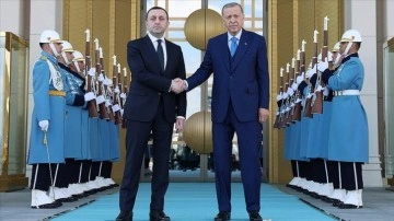 Gürcistan Başbakanı Garibaşvili Cumhurbaşkanı Erdoğan'a geçmiş olsun dileklerini iletti