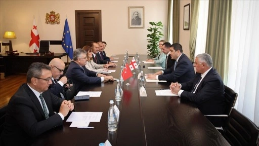 Gürcistan Parlamentosu Başkanı Papuaşvili, TBMM heyetini kabul etti