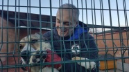Gürcü iş adamı kendini sokak köpeklerine adadı
