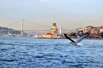 Güvenli liman Türkiye? -İlber Vasfi Sel, St. Petersburg'dan yazdı-