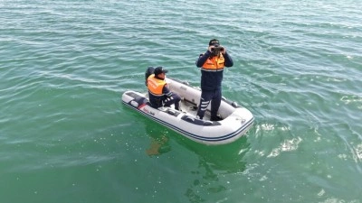 G&uuml;venlik g&uuml;&ccedil;leri inci kefalini korumak i&ccedil;in n&ouml;bette