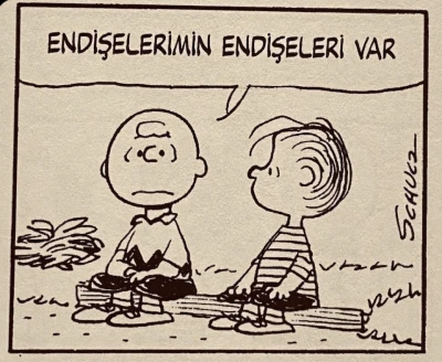 Bir annenin i&ccedil;i rahatsa, sokak g&uuml;vendedir; sokak g&uuml;vendeyse, medeniyet h&acirc;l&acirc; nefes alıyordur -Arzu Leyal yazdı-