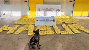 Habur Gümrük Kapısı'nda bir tırda 850 kilogram eroin ele geçirildi